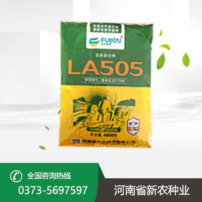 LA505机收玉米种子