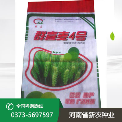 群喜麦4号