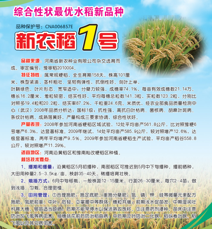 新农稻1号