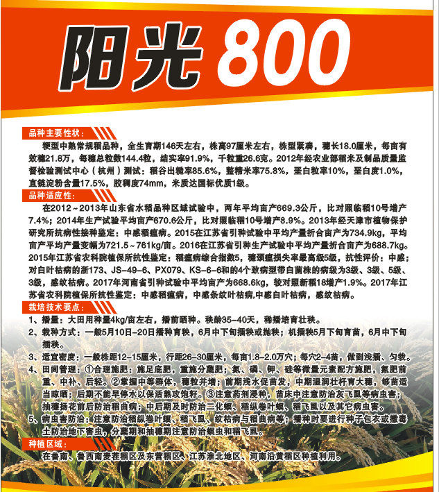 阳光800水稻种子