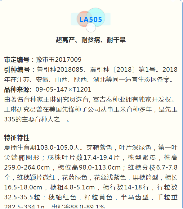 耐贫瘠玉米种子