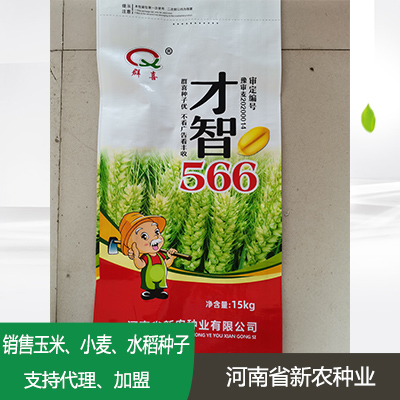 小麦种子加盟
