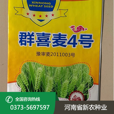 群喜麦4号小麦种子