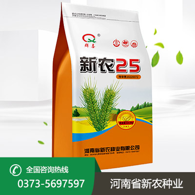 小麦种